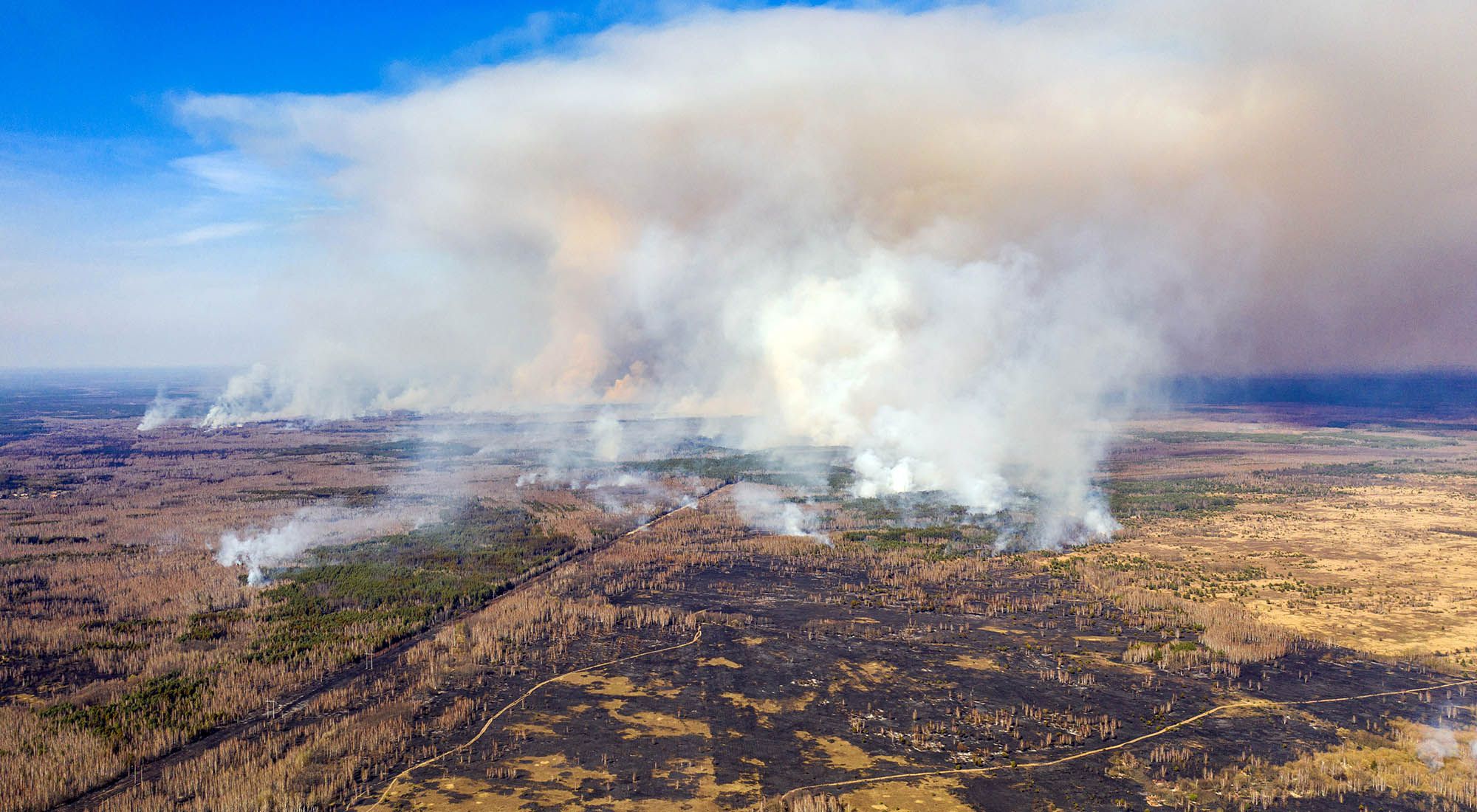 El Bosque Rojo se incendia desde el 3 de abril 2020