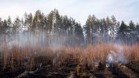 Incendio en la Zona de Exclusión de Chernobyl