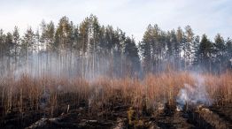 Incendio en la Zona de Exclusión de Chernobyl