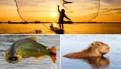 En Entre Ríos detuvieron a una persona con 32 dorados y un carpincho.