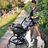 Eugenia Tobal, Francisco García Ibar y Ema