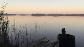 Este estuario al norte de Sydney, como muchos otros del mundo, se calientan de manera más acelerada provocando problemas en su fauna y su flora.