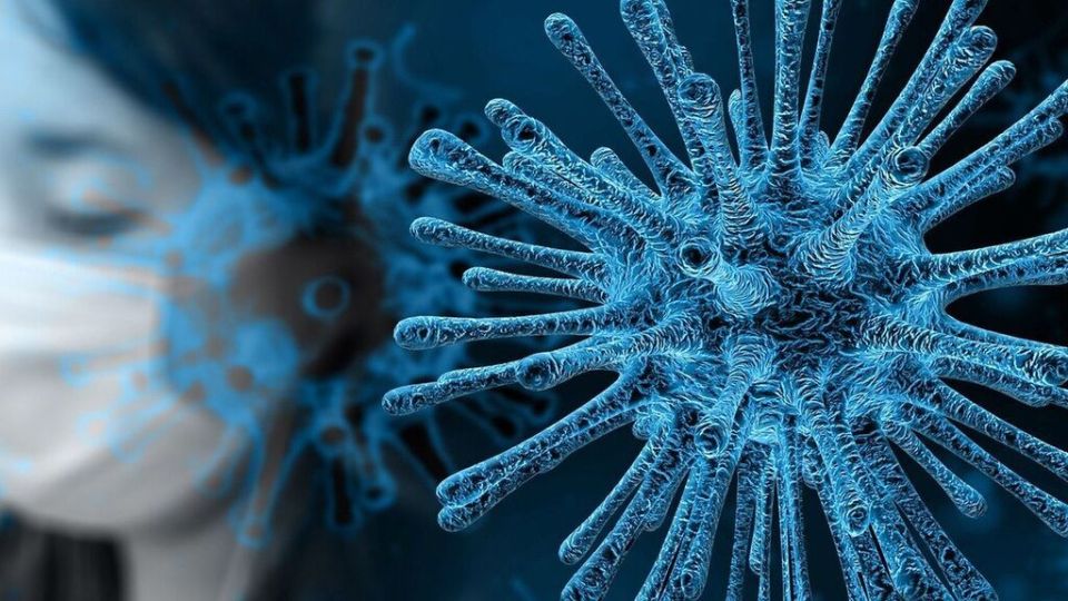 El coronavirus llegó para quedarse