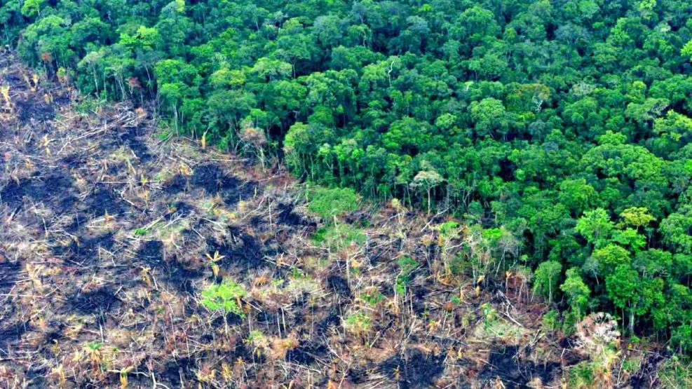 La crisis ambiental es peor que la pandemia