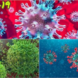 A los 40 conocidos se agregaron 6 más: 3 alfa y 3 beta