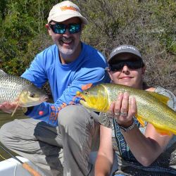 Bogas y dorados, ambos logrados con frutos bandos.