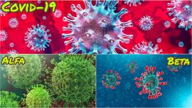 A los 40 conocidos se agregaron 6 más: 3 alfa y 3 beta