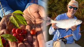 Las bolitas fueron la vedette de la jornada.