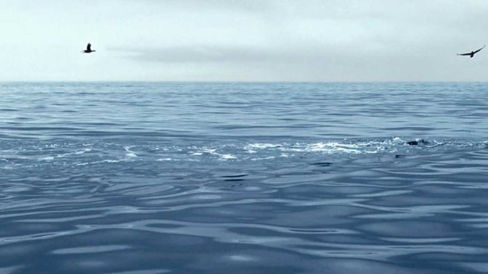 Malvinas