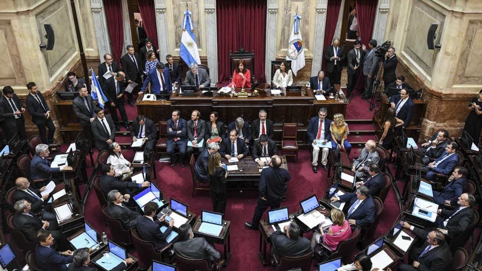 Cristina Fernandez en el Senado 20200415