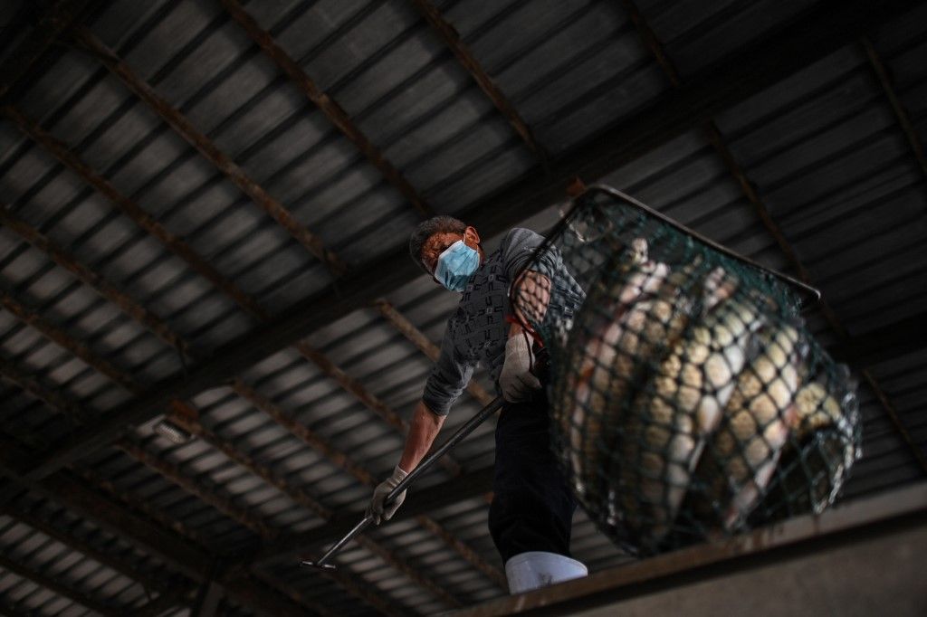 En un gran mercado de alimentos en la ciudad china de Wuhan los carteles prohíben la venta de animales salvajes y aves de corral, mientras los altavoces reproducen una y otra vez mensajes que celebran la "victoria" sobre el nuevo coronavirus.