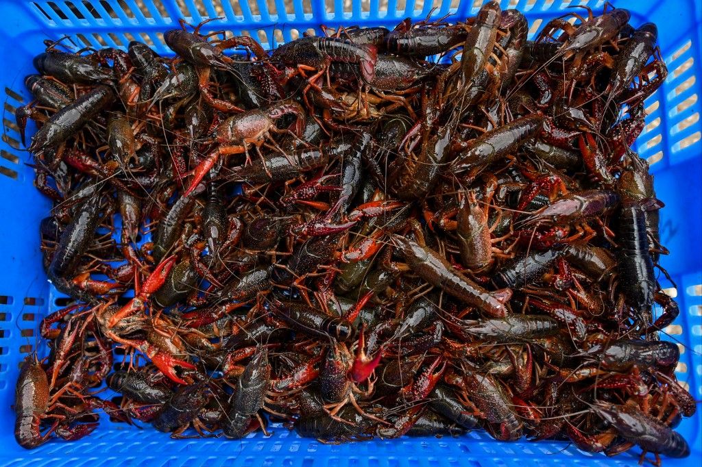 En un gran mercado de alimentos en la ciudad china de Wuhan los carteles prohíben la venta de animales salvajes y aves de corral, mientras los altavoces reproducen una y otra vez mensajes que celebran la "victoria" sobre el nuevo coronavirus.