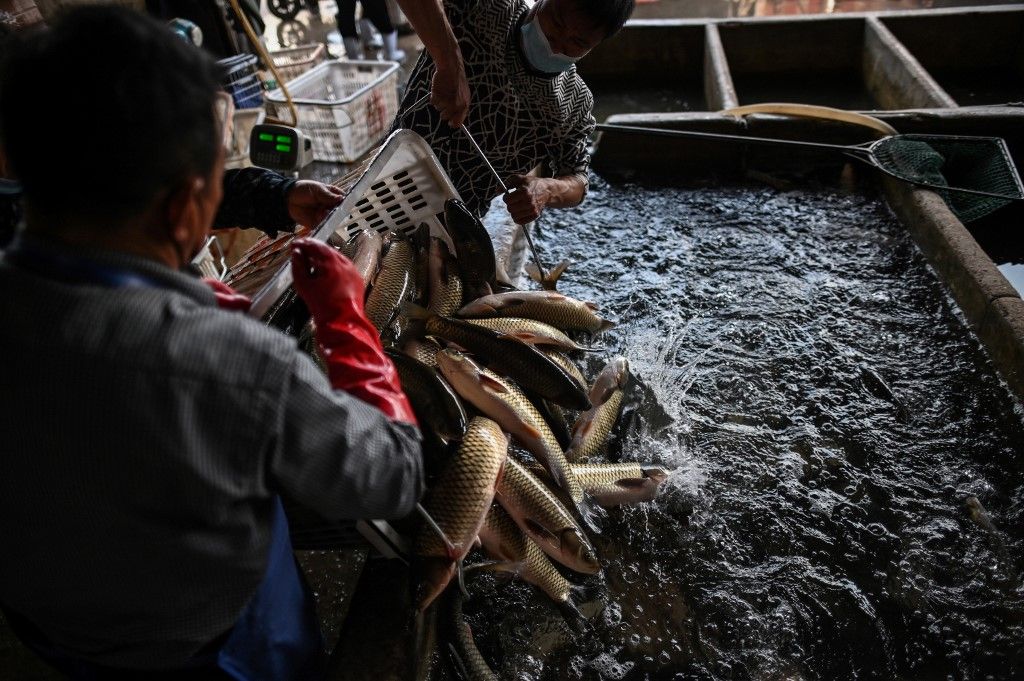 En un gran mercado de alimentos en la ciudad china de Wuhan los carteles prohíben la venta de animales salvajes y aves de corral, mientras los altavoces reproducen una y otra vez mensajes que celebran la "victoria" sobre el nuevo coronavirus.