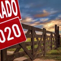 La directora de Fauna de la provincia de Buenos aires confirmó la suspensión de la temporada de caza menor 2020.