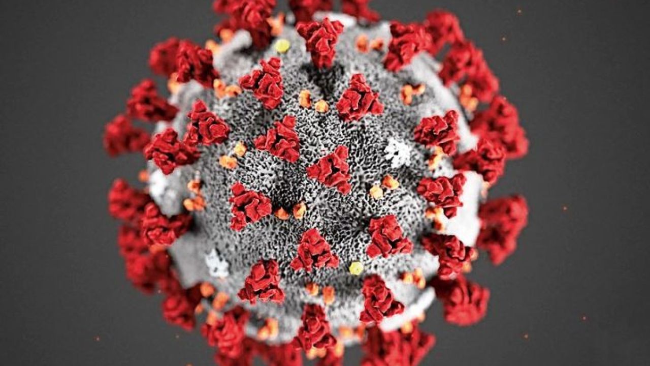 coronavirus | Foto:cedoc