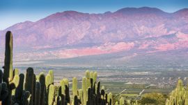 Salta, en un intento por reflotar su industria turística, propone comprá hoy y viajá mañana, a modo de promoción para seguir vendiendo sus atractivos.