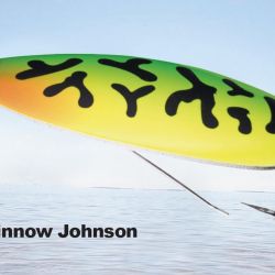 Silver Minnow Johnson