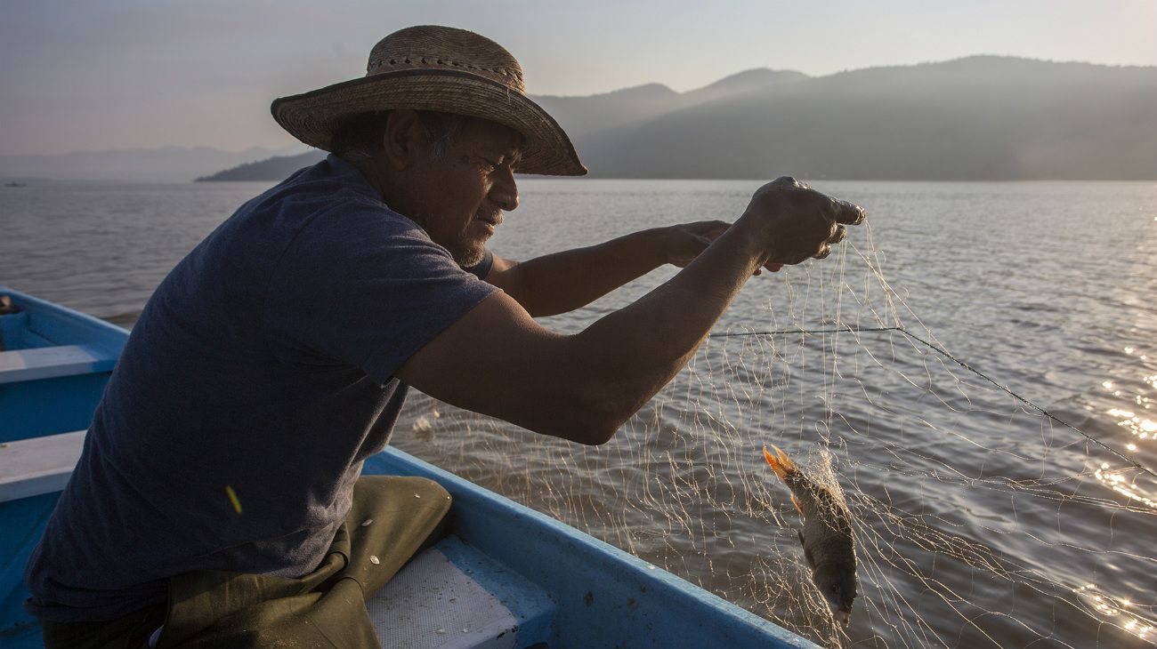 El 22 de abril se celebra el Día de la Tierra. México