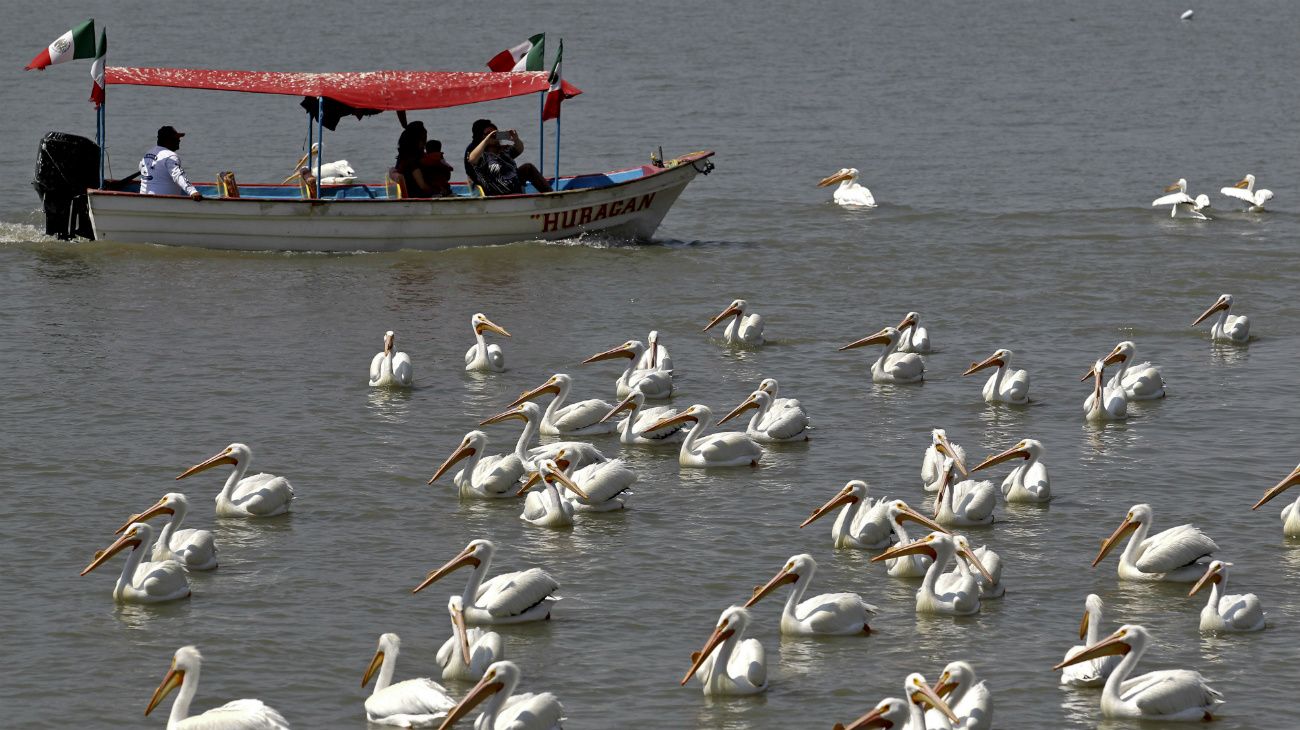 El 22 de abril se celebra el Día de la Tierra. México