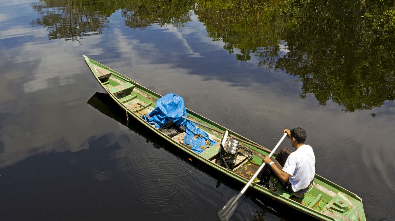 El 22 de abril se celebra el Día de la Tierra. Brasil, Amazonas