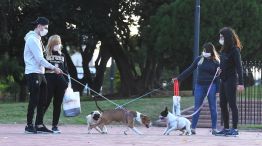 Buenos Aires: El paseo de las mascotas por el parque Chacabuco 20200421