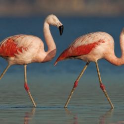 Los humanos dependemos de la naturaleza para nuestra supervivencia, pero nuestras acciones han alterado el equilibrio natural de la Tierra.