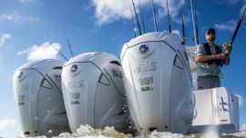 Respecto a las baterías, las mismas sufren agotamiento por más que se corte por norma obligatoria el pase eléctrico.