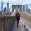 Impactantes imágenes de New York: la Gran Manzana, aplastada