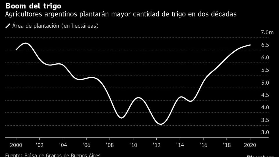 Boom del trigo