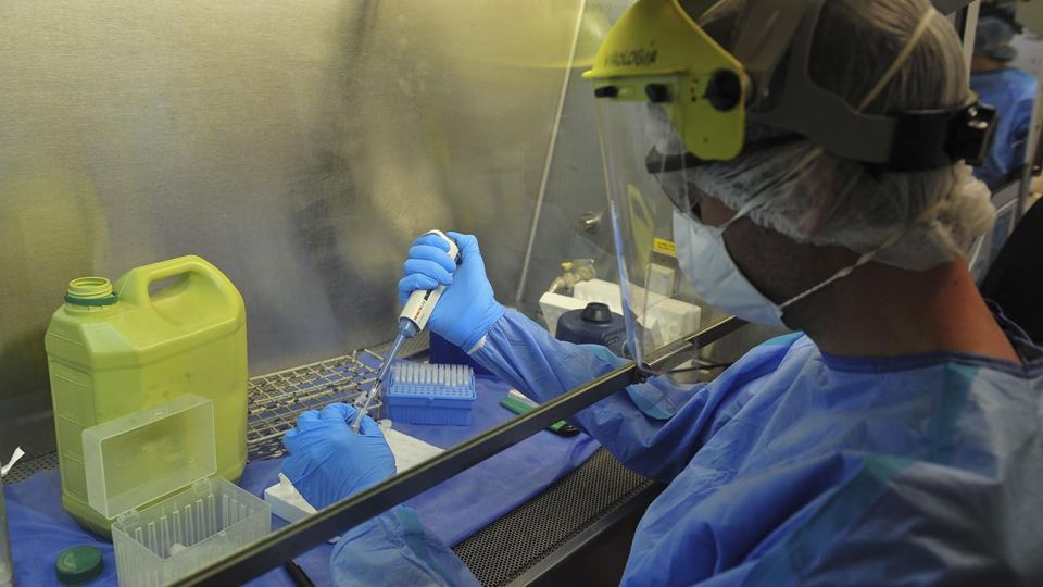 El laboratorio del Hospital Garrahan realizó más de 800 testeos de coronavirus a pacientes pediátricos, personal de salud y a viajeros que están en hoteles del gobierno de la ciudad de Buenos Aires desde el 9 de marzo, cuando comenzaron los estudios, informaron hoy autoridades de virología y epidemiología del establecimiento.