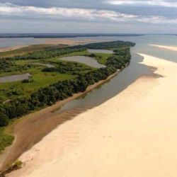 La propuesta comprende las especies del río Paraná dentro de la jurisdicción provincial de Entre Ríos. 