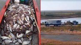 Los camiones frigoríficos aguardan en la costa la pesca de los botes. Se ponen en duda los controles.