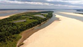 La propuesta comprende las especies del río Paraná dentro de la jurisdicción provincial de Entre Ríos.