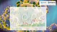 La evolución de los casos de coronavirus en Argentina.