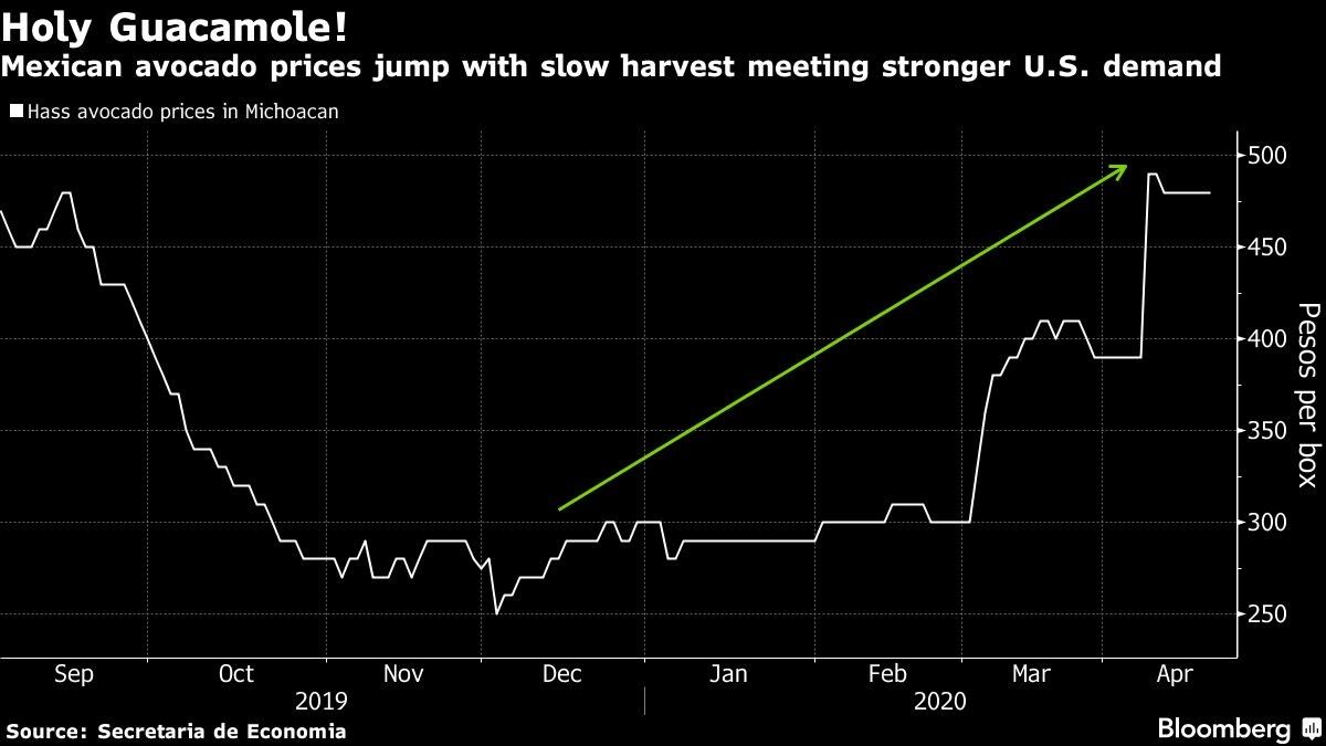 Mexican avocado prices jump with slow harvest meeting stronger U.S. demand