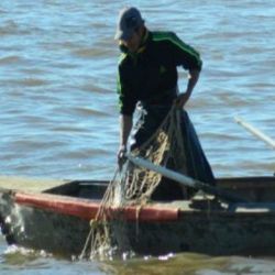 La pesca de subsistencia está contemplada en cuarentena, pero no para venta a frigoríficos.