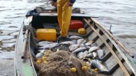 La pesca de subsistencia, en muchos casos, es una pesca comercial encubierta.