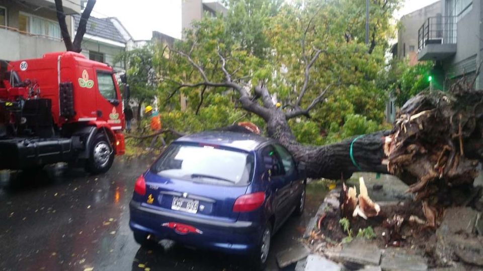 Temporal en Villa Crespo