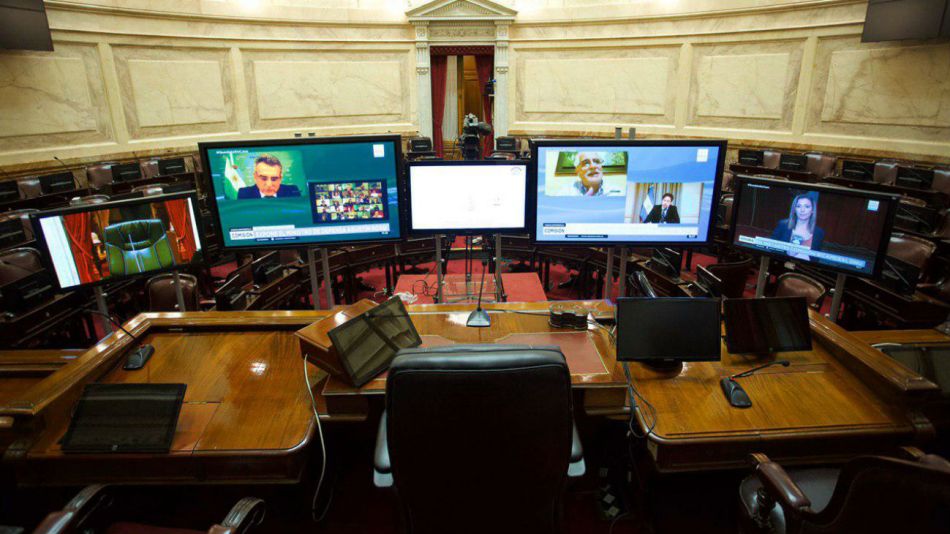 CRISTINA_SENADO_29/04/2020