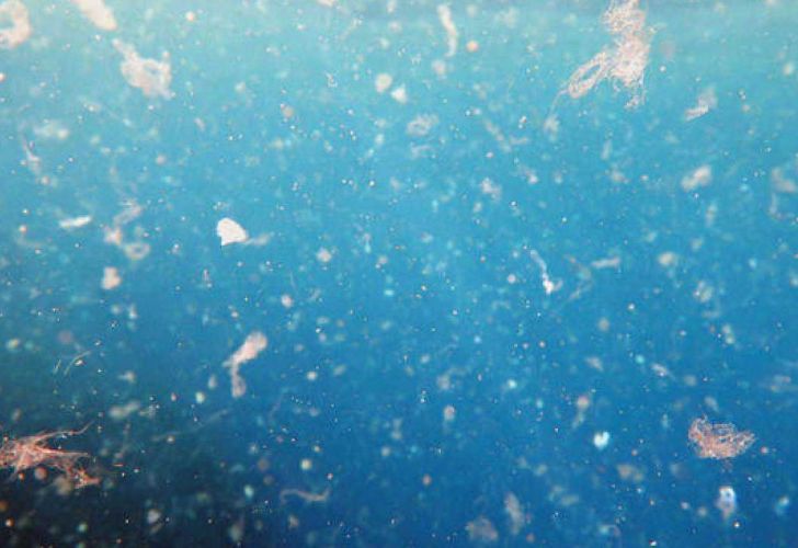 En el fondo marino existen 14 millones de toneladas de plásticos | Perfil
