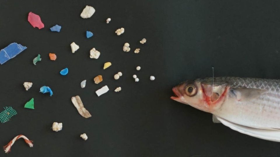 Microplásticos.