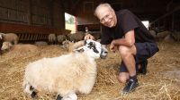 Papá del veganismo: Peter Singer escribió en 1975 Liberación animal, la biblia a favor de los animales.
