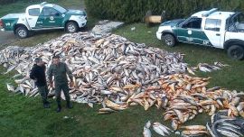 Si no se detiene ya la masacre en los ríos argentinos nos quedaremos sin recurso de pesca.