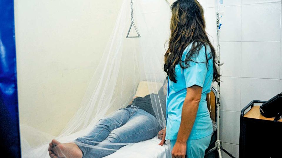 Epidemia. En la Argentina, el dengue es otra prioridad de la salud pública. El Aedes aegypti está en la Ciudad de Buenos Aires. Eso hace que los casos proliferen y se complique la prevención.