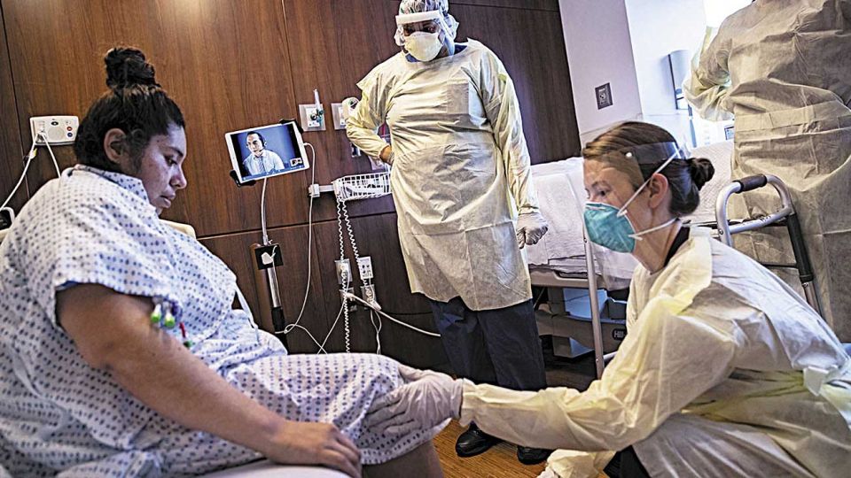 Sin diferencias. Le vienen bien las células de cualquier ser humano, sea quien fuere.