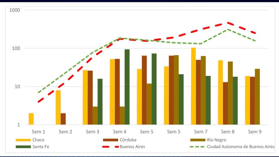 La evolución de las provincias que acumulan más casos en Argentina.