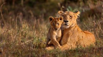 Día Mundial del Patrimonio Africano