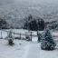 0504_nieve2