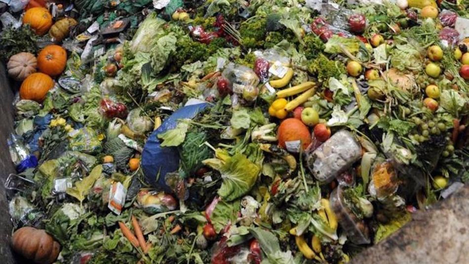 Desperdicio de alimentos