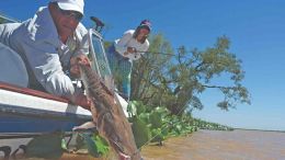 Pesca en Reconquista: los guías presentan protocolo sanitario para salir a trabajar